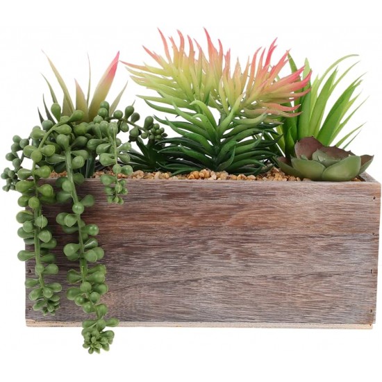 Plants Wooden Pots 